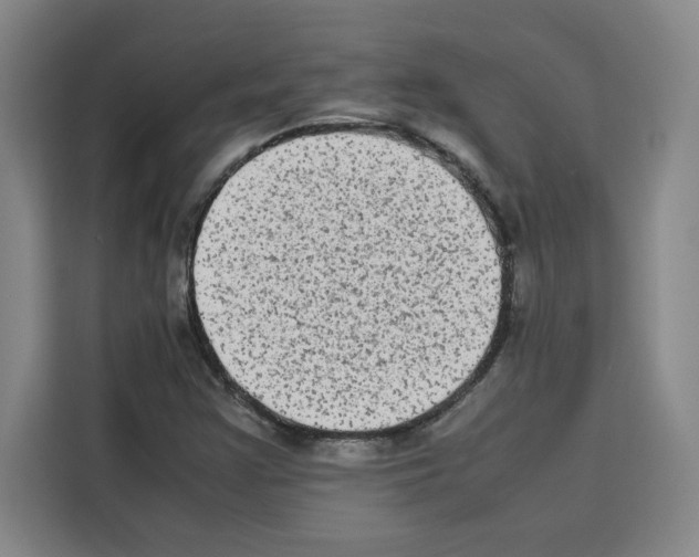 X0000113261355200910221031