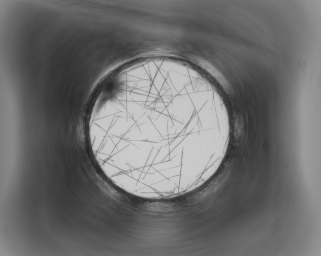 X0000113261356200910221031