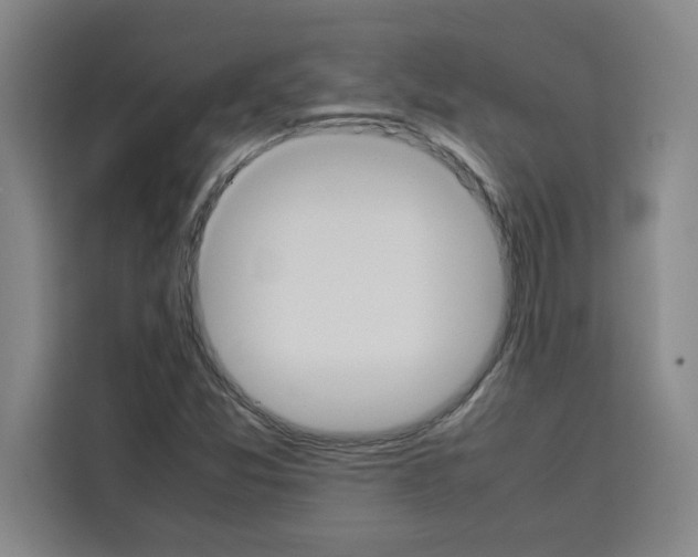 X0000113261357200910221031