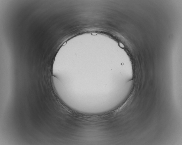 X0000113261361200910221031