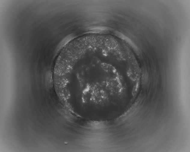 X0000113261362200910221031