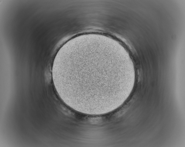 X0000113261363200910221031