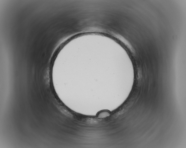 X0000113261364200910221031
