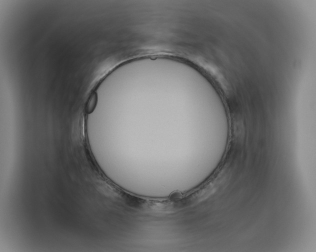 X0000113261365200910221031