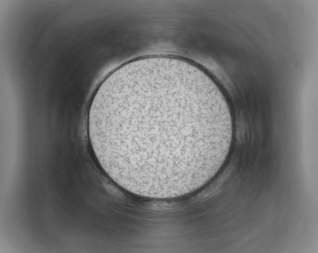 X0000113261366200910221031