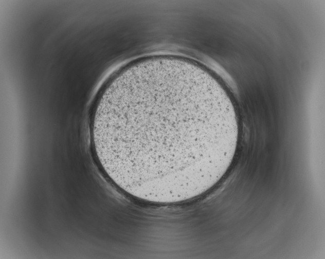 X0000113261368200910221031