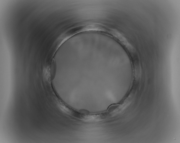 X0000113261369200910221030
