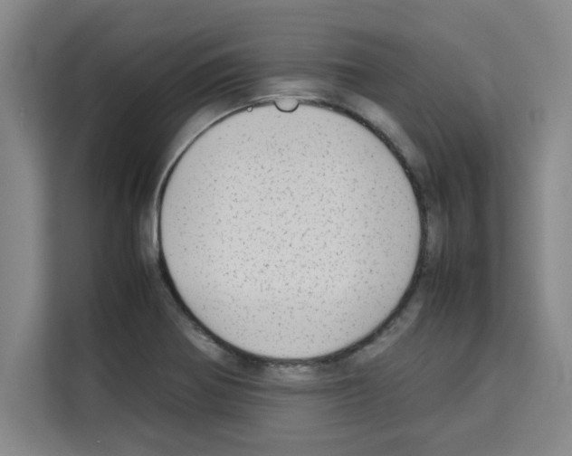 X0000113261370200910221030