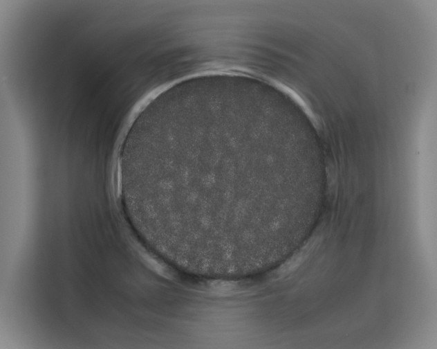 X0000113261371200910221030