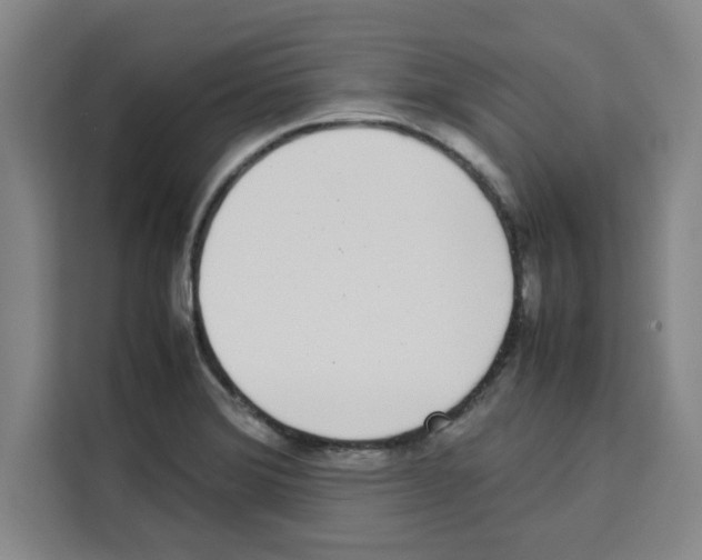 X0000113261372200910221030