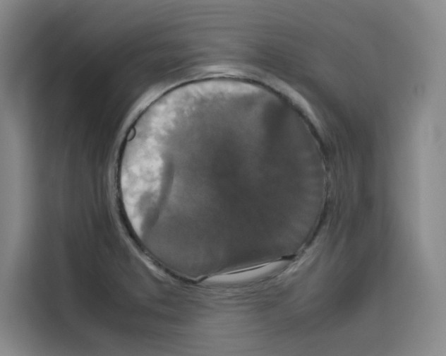 X0000113261373200910221030