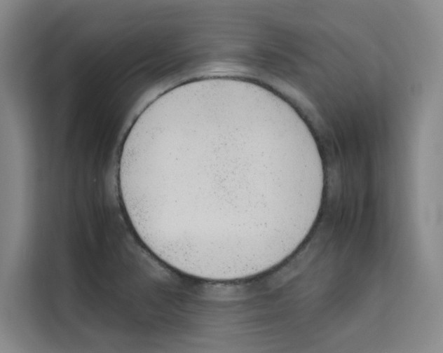 X0000113261374200910221030