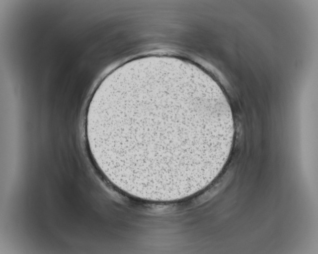 X0000113261375200910221030