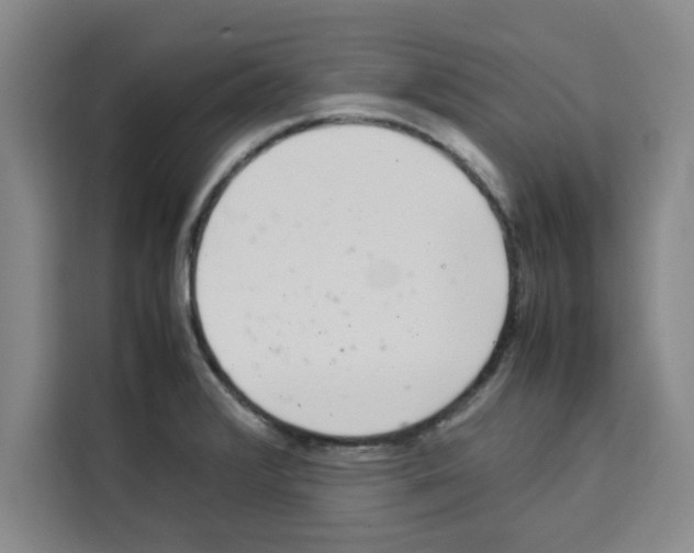 X0000113261376200910221030