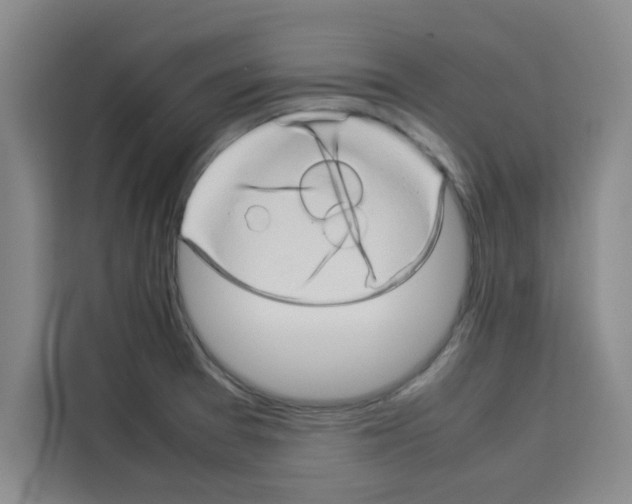 X0000113261377200910221030