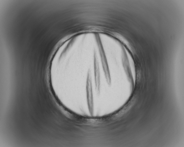 X0000113261379200910221030