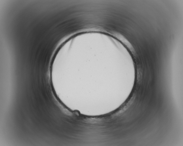 X0000113261380200910221030