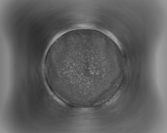 X0000113261381200910221030