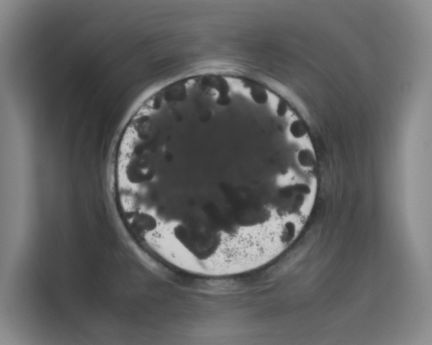 X0000113261383200910221030