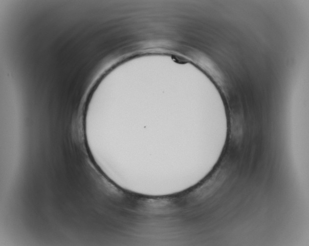 X0000113261384200910221030