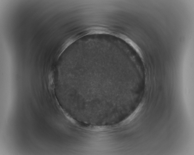 X0000113261385200910221030