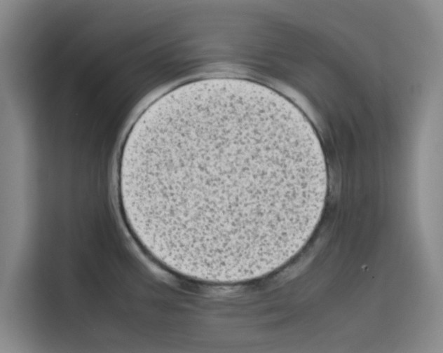 X0000113261387200910221030