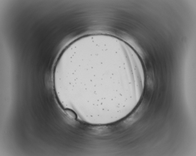 X0000113261388200910221030