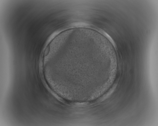 X0000113261389200910221030