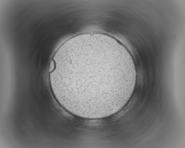 X0000113261390200910221030