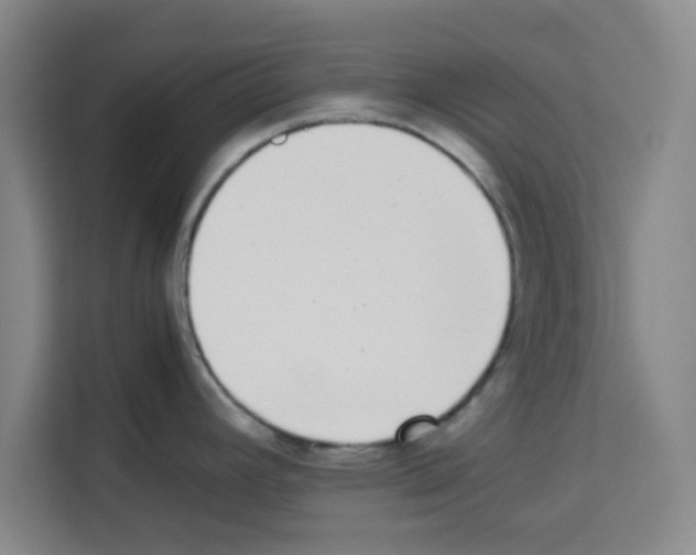 X0000113261392200910221030