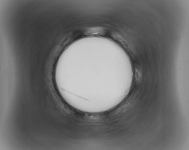 X0000113261393200910221029