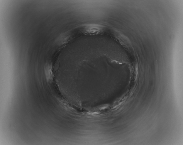 X0000113261394200910221029