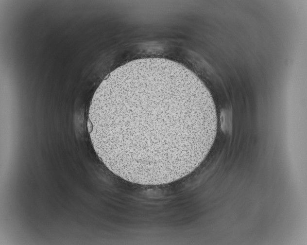 X0000113261395200910221029