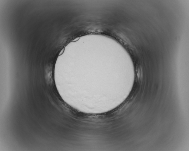 X0000113261396200910221030
