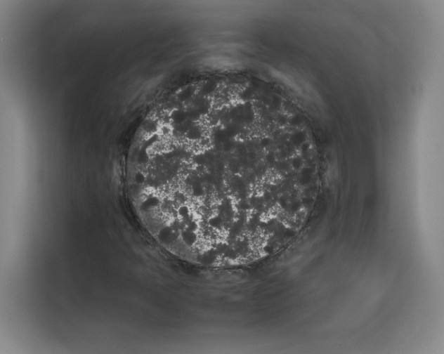 X0000113261397200910221030