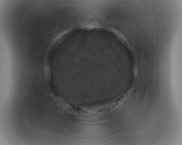 X0000113261398200910221030