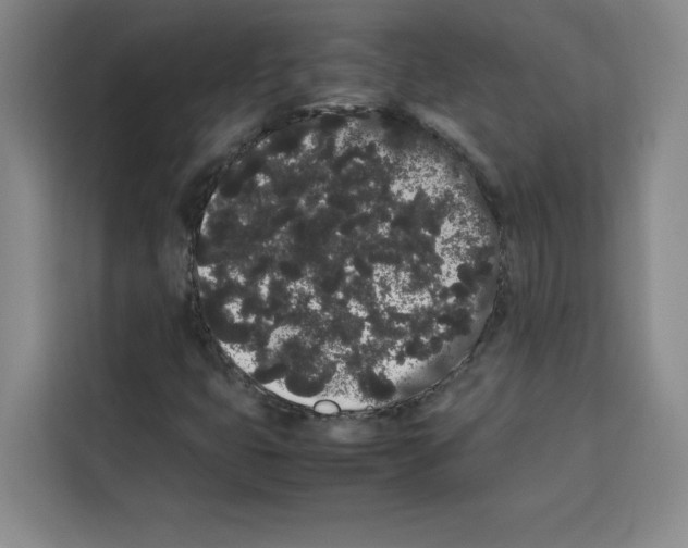 X0000113261399200910221030