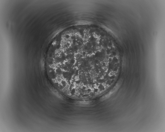 X0000113261401200910221030