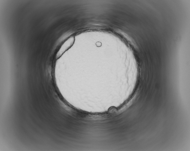 X0000113261402200910221030