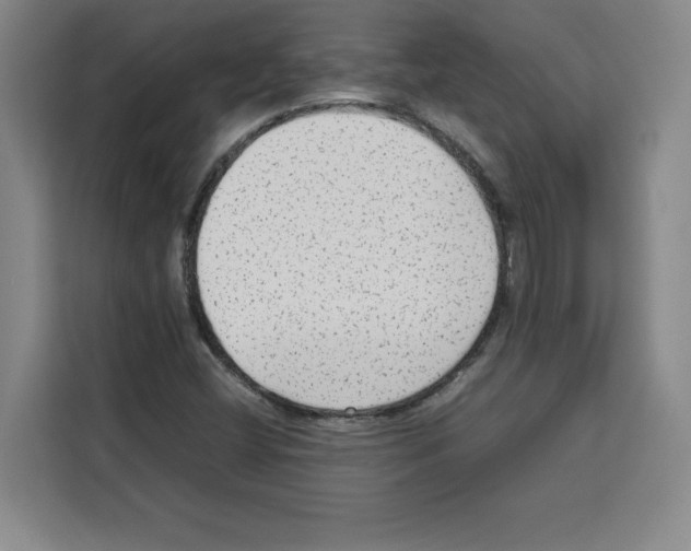 X0000113261404200910221030