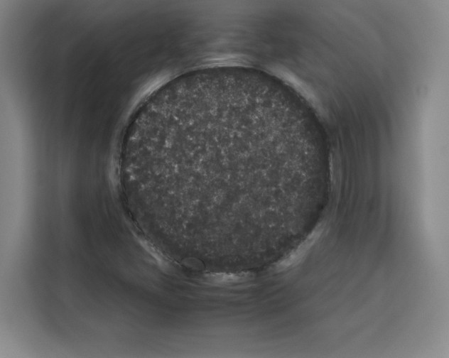 X0000113261405200910221030
