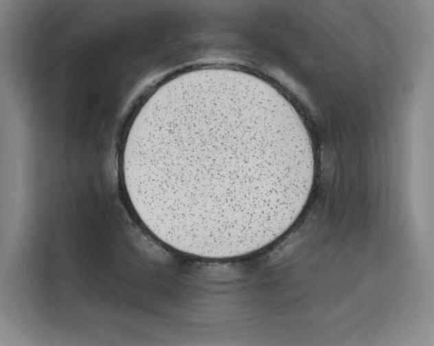 X0000113261408200910221030