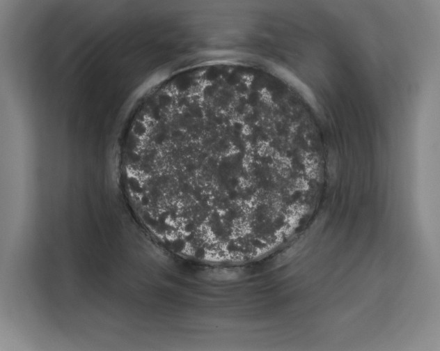 X0000113261411200910221030