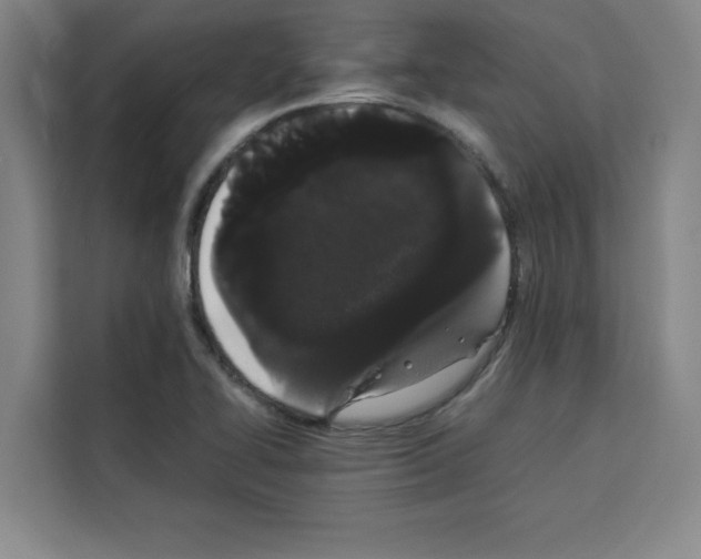 X0000113261414200910221030