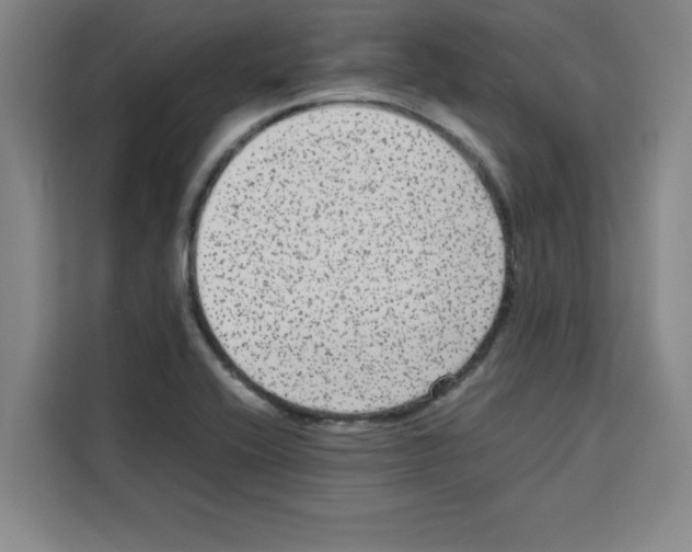 X0000113261416200910221030
