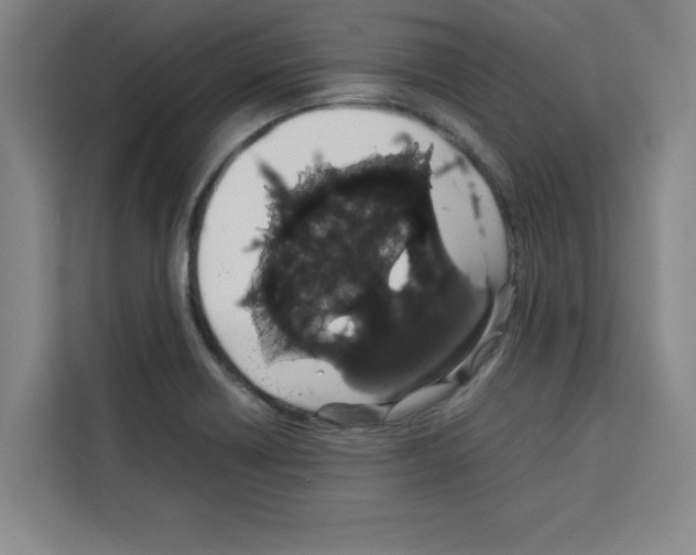 X0000113261418200910221030