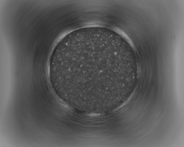 X0000113261419200910221030