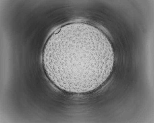 X0000113261420200910221030