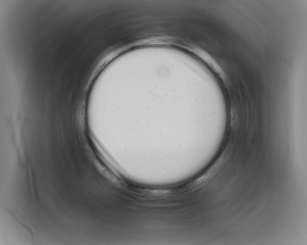 X0000113261421200910221030