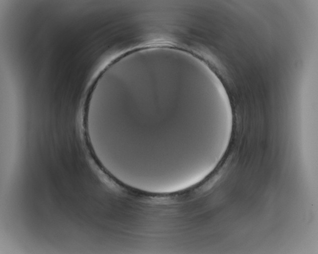 X0000113261422200910221030